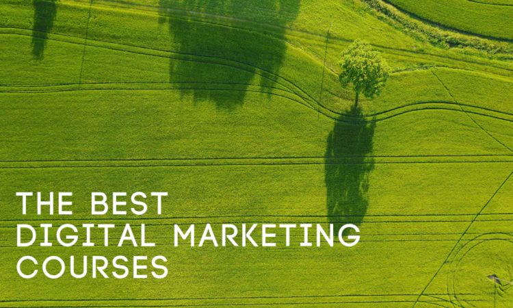 Best Digital Marketing Courses Online